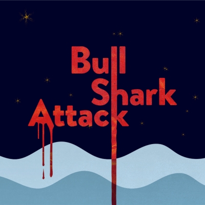 Bull Shark Attack